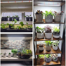 Load image into Gallery viewer, 1/2/3/4 LED Grow Light Strips for Indoor Plants Sunlight Full Spectrum USB Phyto Lamp Timer Dimmable Seedlings Flower Growing Lamp
