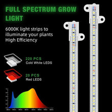 Load image into Gallery viewer, 1/2/3/4 LED Grow Light Strips for Indoor Plants Red Blue Full Spectrum USB Phyto Lamp Timer Dimmable Seedlings Flower Growing Lamp
