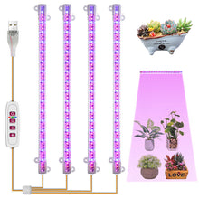Load image into Gallery viewer, 1/2/3/4 LED Grow Light Strips for Indoor Plants Red Blue Full Spectrum USB Phyto Lamp Timer Dimmable Seedlings Flower Growing Lamp
