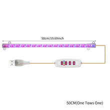 Load image into Gallery viewer, 1/2/3/4 LED Grow Light Strips for Indoor Plants Red Blue Full Spectrum USB Phyto Lamp Timer Dimmable Seedlings Flower Growing Lamp
