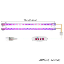 Load image into Gallery viewer, 1/2/3/4 LED Grow Light Strips for Indoor Plants Red Blue Full Spectrum USB Phyto Lamp Timer Dimmable Seedlings Flower Growing Lamp

