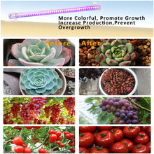 Load image into Gallery viewer, 1/2/3/4 LED Grow Light Strips for Indoor Plants Red Blue Full Spectrum USB Phyto Lamp Timer Dimmable Seedlings Flower Growing Lamp
