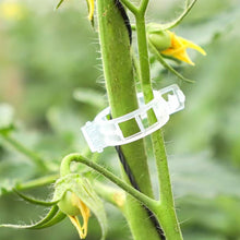 Load image into Gallery viewer, 150/100/50Pcs Plastic Plant Support Clips Reusable Plant Vine Protection Grafting Fixing Tool for Vegetable Tomato Garden Supplies
