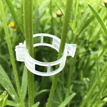 Load image into Gallery viewer, 150/100/50Pcs Plastic Plant Support Clips Reusable Plant Vine Protection Grafting Fixing Tool for Vegetable Tomato Garden Supplies
