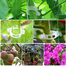 Load image into Gallery viewer, 150/100/50Pcs Plastic Plant Support Clips Reusable Plant Vine Protection Grafting Fixing Tool for Vegetable Tomato Garden Supplies
