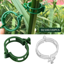Load image into Gallery viewer, 150/100/50Pcs Plastic Plant Support Clips Reusable Plant Vine Protection Grafting Fixing Tool for Vegetable Tomato Garden Supplies
