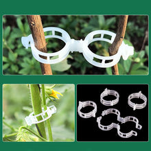 Load image into Gallery viewer, 150/100/50Pcs Plastic Plant Support Clips Reusable Plant Vine Protection Grafting Fixing Tool for Vegetable Tomato Garden Supplies
