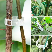 Load image into Gallery viewer, 150/100/50Pcs Plastic Plant Support Clips Reusable Plant Vine Protection Grafting Fixing Tool for Vegetable Tomato Garden Supplies
