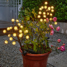 Load image into Gallery viewer, Solar Flower Lamp Outdoor Garden Cherry Blossom Fairy Decoration Lighting Waterproof Lawn Light Yard Landscape Light
