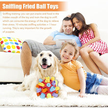 Load image into Gallery viewer, Interactive Dog Snuffle Ball Toy Foraging Skills Food Hiding Bite-resistant Anxiety Relief Slow Feeder Training Pet Ball Toy
