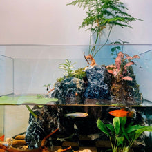 Load image into Gallery viewer, Fishing Cat Aquariums Decorations Fish Tank Hangable Landscape Aquarium Cat Fishing Ornament Home Aquarium Decor
