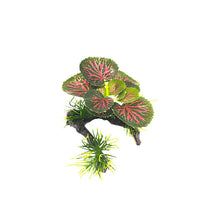 Load image into Gallery viewer, Artificial Green Plants Underwater Grass Aquarium Fish Tank Simulation Decoration Aquarium Decor Plastic Plants
