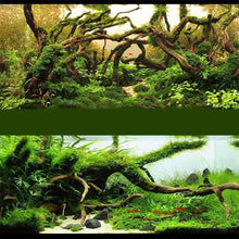 Load image into Gallery viewer, Natural Tree Trunk Aquarium Decoration Sunken Wood Landscaping Ornaments Decor Fish Tank Ornament Different Shape
