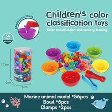 Load image into Gallery viewer, Kids Matching Game Learn Children's Classification Games Educational Toys Animal Cognition Rainbow Sort Fine Motor Training Montessori Sensory Puzzle Toy Gifts
