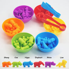Load image into Gallery viewer, Kids Matching Game Learn Children's Classification Games Educational Toys Animal Cognition Rainbow Sort Fine Motor Training Montessori Sensory Puzzle Toy Gifts
