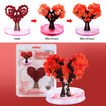 Load image into Gallery viewer, Magic Princess Growing Dress DIY Toy for Adults Kids Mini Growing Tree Girls Birthday Gifts Scientific Edcation Toys
