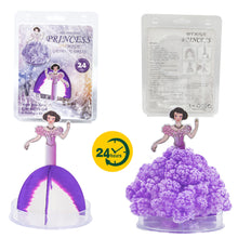 Load image into Gallery viewer, Magic Princess Growing Dress DIY Toy for Adults Kids Mini Growing Tree Girls Birthday Gifts Scientific Edcation Toys
