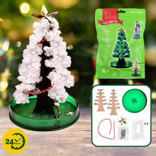 Load image into Gallery viewer, Magic Growing Christmas Tree DIY Xmas Gifts Toy for Adults Kids 15cm Mini Growing Cherry Blossom Tree Christmas Gifts Party Decor
