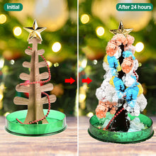 Load image into Gallery viewer, Magic Growing Christmas Tree DIY Xmas Gifts Toy for Adults Kids 15cm Mini Growing Cherry Blossom Tree Christmas Gifts Party Decor

