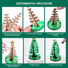 Load image into Gallery viewer, Magic Growing Christmas Tree DIY Xmas Gifts Toy for Adults Kids 15cm Mini Growing Cherry Blossom Tree Christmas Gifts Party Decor
