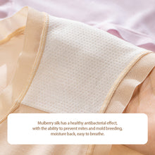 Load image into Gallery viewer, 3pcs Gift Box Packing Middle Waist Modal Women Underwear Breathable Mulberry Silk Panties Bacteriostatic briefs For Ladies Comfortable Female underpants Innerwear
