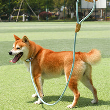 Load image into Gallery viewer, Durable Nylon Pet P Chain for Medium Large Dogs Slip Training Lead Puppy Big Dog Leash Collar Pug Traction Rope mascotas Leashes
