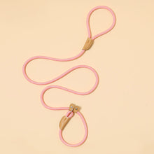 Load image into Gallery viewer, Durable Nylon Pet P Chain for Medium Large Dogs Slip Training Lead Puppy Big Dog Leash Collar Pug Traction Rope mascotas Leashes
