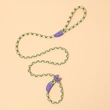 Load image into Gallery viewer, Durable Nylon Pet P Chain for Medium Large Dogs Slip Training Lead Puppy Big Dog Leash Collar Pug Traction Rope mascotas Leashes
