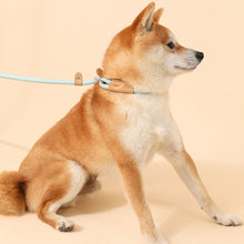 Load image into Gallery viewer, Durable Nylon Pet P Chain for Medium Large Dogs Slip Training Lead Puppy Big Dog Leash Collar Pug Traction Rope mascotas Leashes
