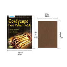Load image into Gallery viewer, 8pcs/pack Cordyceps Far-infrared Pain Relieving Patch Promoting Blood Circulation Relieving Muscle Joint Pain Plaster
