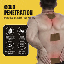 Load image into Gallery viewer, 8pcs/pack Cordyceps Far-infrared Pain Relieving Patch Promoting Blood Circulation Relieving Muscle Joint Pain Plaster
