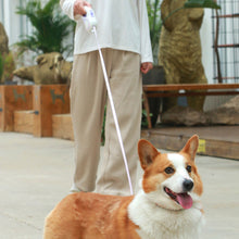 Load image into Gallery viewer, 5M/3M LED Flashlight Pet Leash Retractable Lighted Night Outdoor Walking Dog Leash Non-Slip Handle Dog Chain Dog Supplies
