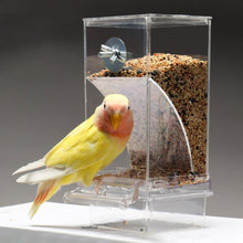 Load image into Gallery viewer, Bird Feeders Automatic Parrot Feeder Drinker Acrylic Seed Food Container Cage Accessories For Small And Medium Parakeets

