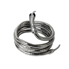 Load image into Gallery viewer, Snake Creative Jewelry Can Be Used As Necklace and Bracelet Personalized HotGirl Snake Wrap Women's Necklace Halloween Jewelry
