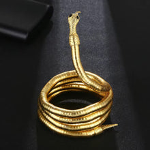 Load image into Gallery viewer, Snake Creative Jewelry Can Be Used As Necklace and Bracelet Personalized HotGirl Snake Wrap Women's Necklace Halloween Jewelry
