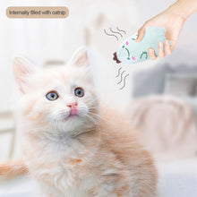 Load image into Gallery viewer, Cute Animal Shape Catnip Cats Toy Kitten Dinosaur Teeth Chewing Biting Plush Toys Cat Plush Thumb Pillow Pet Accessories
