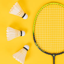 Load image into Gallery viewer, 12PCS Angnet Entertainment Grade Badminton Beatable Durable Outdoor Games Entertainment Training Duck Feather Badminton
