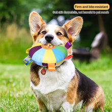 Load image into Gallery viewer, Interactive Flying Disc Dog Toy for Aggressive Chewers Training Decompress Bite Resistant Plush Handle Dog Toys with Bells Pet Supplies
