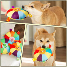 Load image into Gallery viewer, Interactive Flying Disc Dog Toy for Aggressive Chewers Training Decompress Bite Resistant Plush Handle Dog Toys with Bells Pet Supplies
