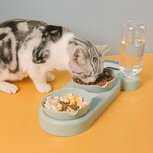 Load image into Gallery viewer, Cat Bowl Double Bowl Drinking Raised Stand Dish Bowls For Cats Automatic Food &amp; Water Dispenser 3-in-1 Pet Supplies
