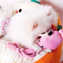 Load image into Gallery viewer, Octopus Shaped Pet Toy Pet Companion Bite-resistant Interactive Toy For Small And Medium Sized Dog Grinding Tooth Health
