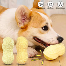 Load image into Gallery viewer, Dog Chewing Toy Screaming Rubber Peanut Grinding Teeth Cleaning Anti Bite Rubber Corgi Teddy Shiba Inu Small Dog Toy Ball

