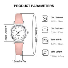 Load image into Gallery viewer, 1Pc New Style Ladies Watch Women Quartz Watches Simple Roman Numerals Frosted Belt Wrist Watch

