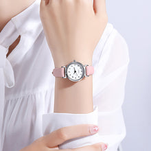 Load image into Gallery viewer, 1Pc New Style Ladies Watch Women Quartz Watches Simple Roman Numerals Frosted Belt Wrist Watch
