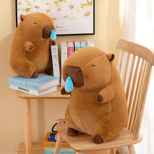 Load image into Gallery viewer, Hamburger Turtle Backpack Capybara Plush Toy Fluffty Kawaii Plushie Simulation Capibara Cute Stuffed Animals Soft Plush Kid Toys Children's Day Gift
