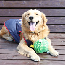 Load image into Gallery viewer, Interactive Ball Dog Toy for Aggressive Chewers Training Decompress Bite Resistant Plush Handle Dog Toys with Bells Pet Supplies
