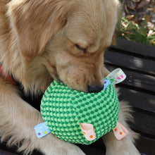 Load image into Gallery viewer, Interactive Ball Dog Toy for Aggressive Chewers Training Decompress Bite Resistant Plush Handle Dog Toys with Bells Pet Supplies
