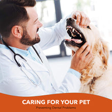 Load image into Gallery viewer, Pet Cat Dog Toothbrush Cleaning Brush for Teeth Cleaning Bad Breath Teeth Care Tool Tongue Cleaning Pet Accessories
