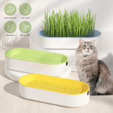 Load image into Gallery viewer, Pet Cat Grass Potted Hydroponic Plant Seedling Tray Growing Pot Reusable Garden Catnip Digestion Cleaning Stomach Grass Grow Box
