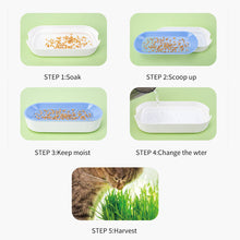 Load image into Gallery viewer, Pet Cat Grass Potted Hydroponic Plant Seedling Tray Growing Pot Reusable Garden Catnip Digestion Cleaning Stomach Grass Grow Box
